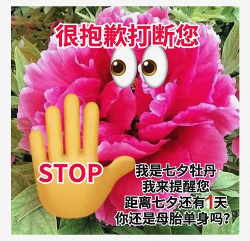七夕牡丹是什么意思？