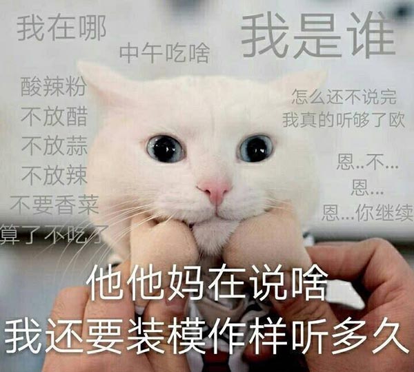 中午吃啥是什么意思？