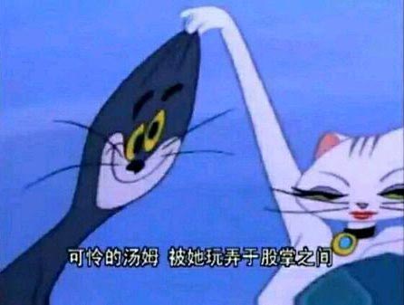 这下Tom了是什么意思？