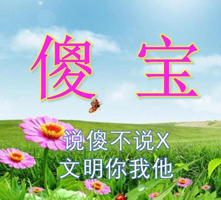 傻宝是什么意思？