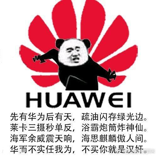 华而不实为所欲为是什么意思？