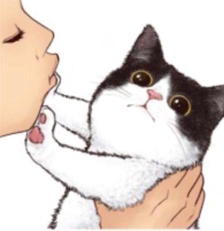 舔猫是什么意思？
