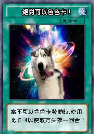 柴犬色色卡是什么意思？
