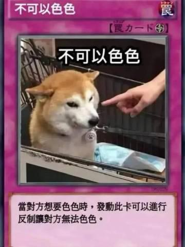 柴犬色色卡是什么意思？