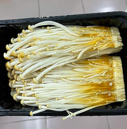 冷知识：银针菇
