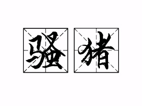 骚猪是什么意思？