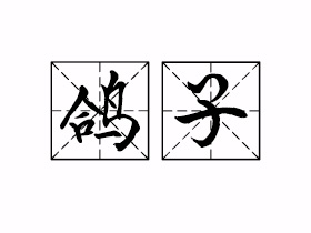 鸽子是什么意思？