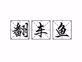 翻车鱼是什么意思？