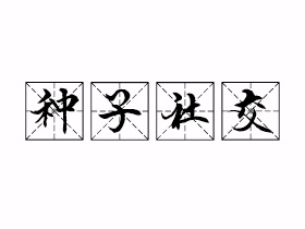 种子社交是什么意思？