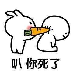 塑料姐妹花是什么意思？
