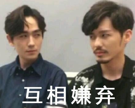 塑料兄弟情是什么意思？
