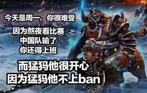 为什么不ban猛犸是什么意思？