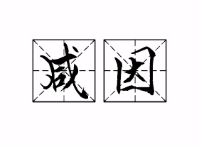 咸因是什么意思？