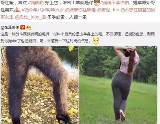 野性暖是什么意思？