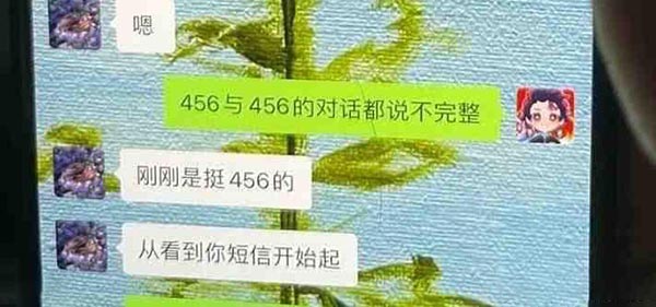 456是什么意思？