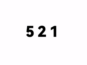 521是什么意思？
