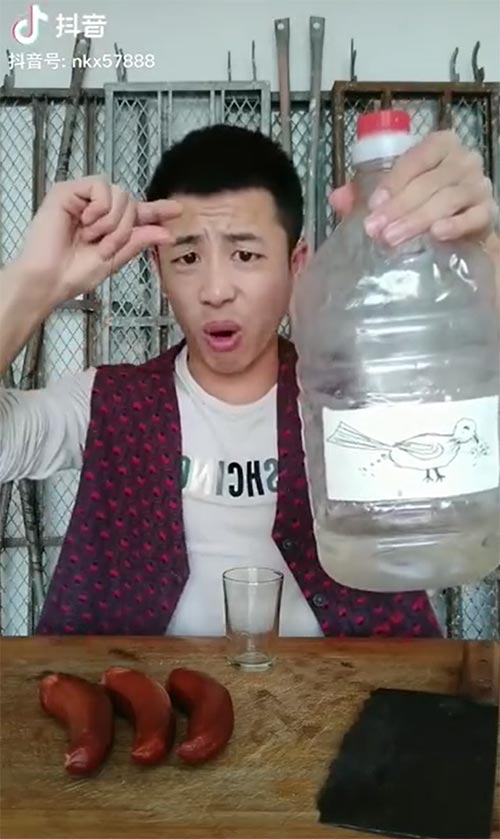 小鸟伏特加是什么 意思？