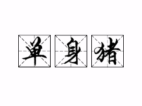 单身猪是什么意思？