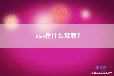 nbcs是什么意思？