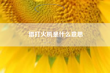 借打火机是什么意思