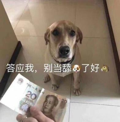 舔狗是什么意思？答应我不要做舔狗好吗