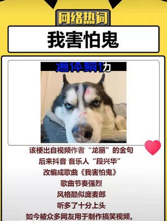我害怕鬼但鬼未伤我分毫是什么梗