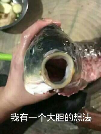 网络语“我有一个大胆的想法”是什么梗