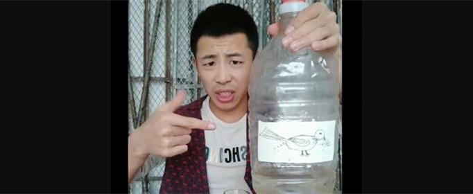 zbc是什么意思
