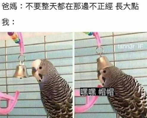 嘿嘿帽帽是什么意思