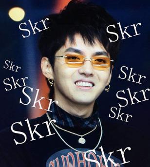 skr是什么梗？