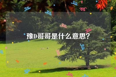 豫D哥哥是什么意思？