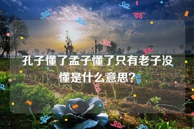 孔子懂了孟子懂了只有老子没懂是什么意思？