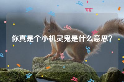 你真是个小机灵鬼是什么意思？