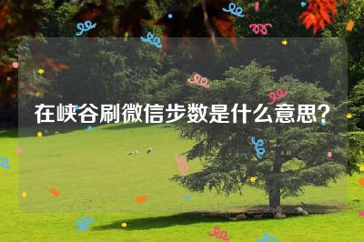 在峡谷刷微信步数是什么意思？