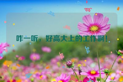 咋一听，好高大上的工作啊！