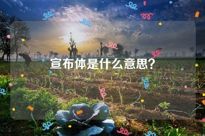 宣布体是什么意思？