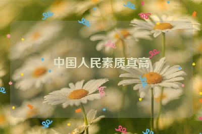 中国人民素质真高