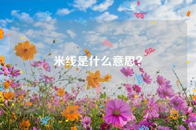 米线是什么意思？