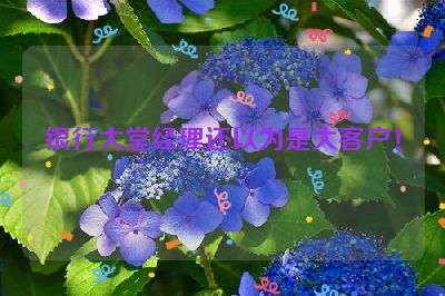 银行大堂经理还以为是大客户！