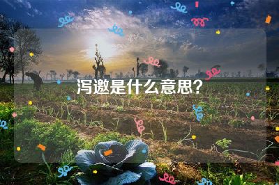 泻邀是什么意思？