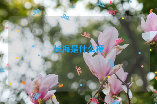 长海是什么梗