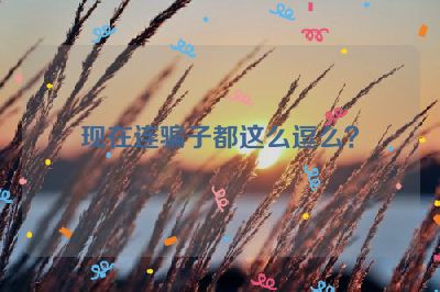 现在连骗子都这么逗么？