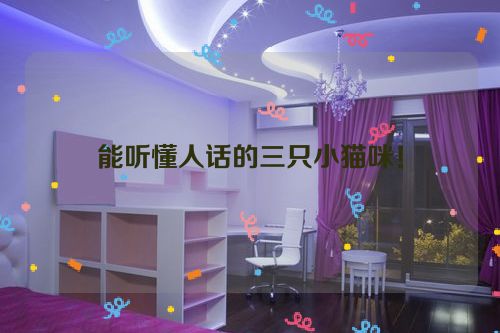 能听懂人话的三只小猫咪！