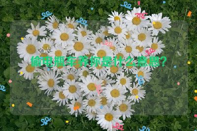 偷电瓶车养你是什么意思？