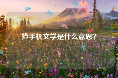捡手机文学是什么意思？