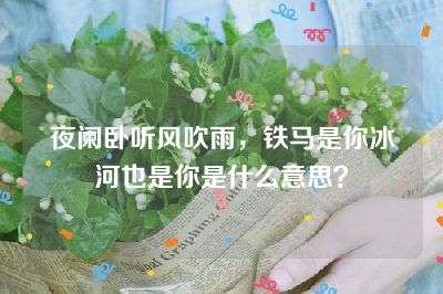夜阑卧听风吹雨，铁马是你冰河也是你是什么意思？