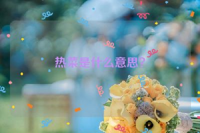 热菜是什么意思？