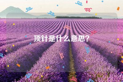 顶针是什么意思？