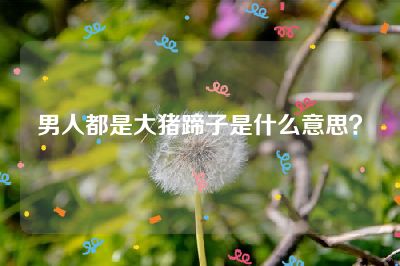 男人都是大猪蹄子是什么意思？