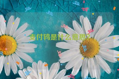 支付鸨是什么意思？